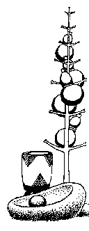 Traditionel medicin oph�ngt p� en gren